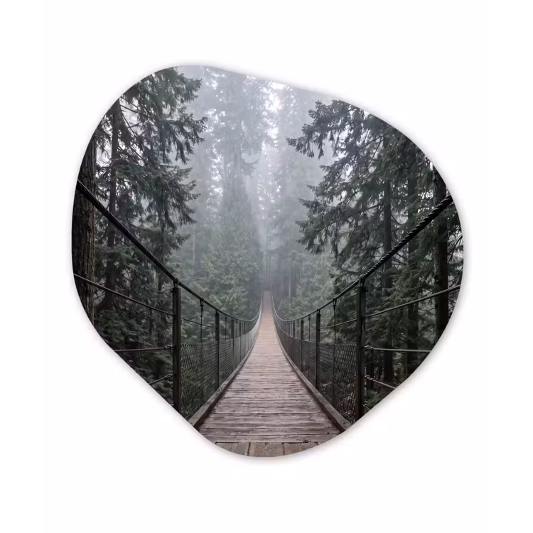 Organisch schilderij - Forex - Brug - Bos - Mist - Natuur — 1