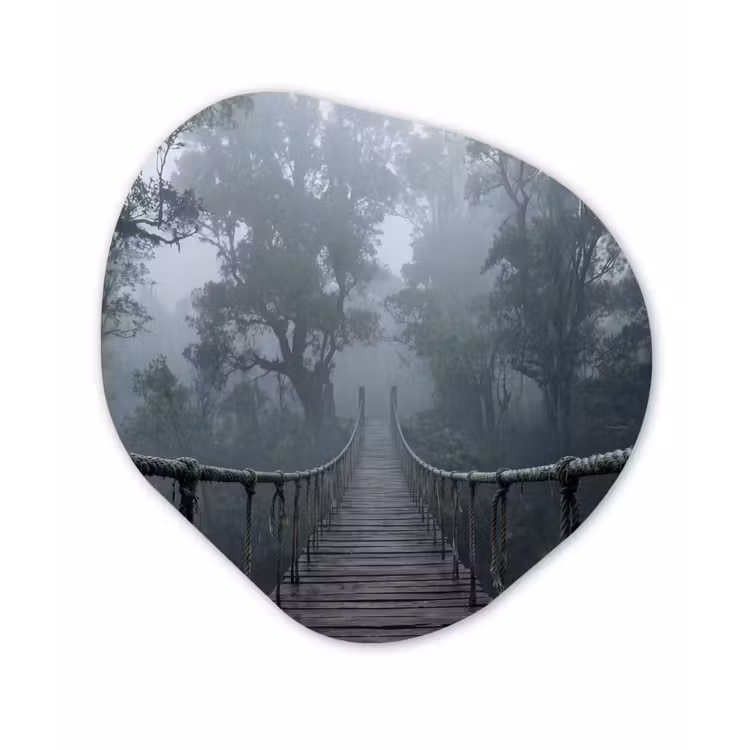 Organisch schilderij - Forex - Brug - Jungle - Mist - Natuur — 1