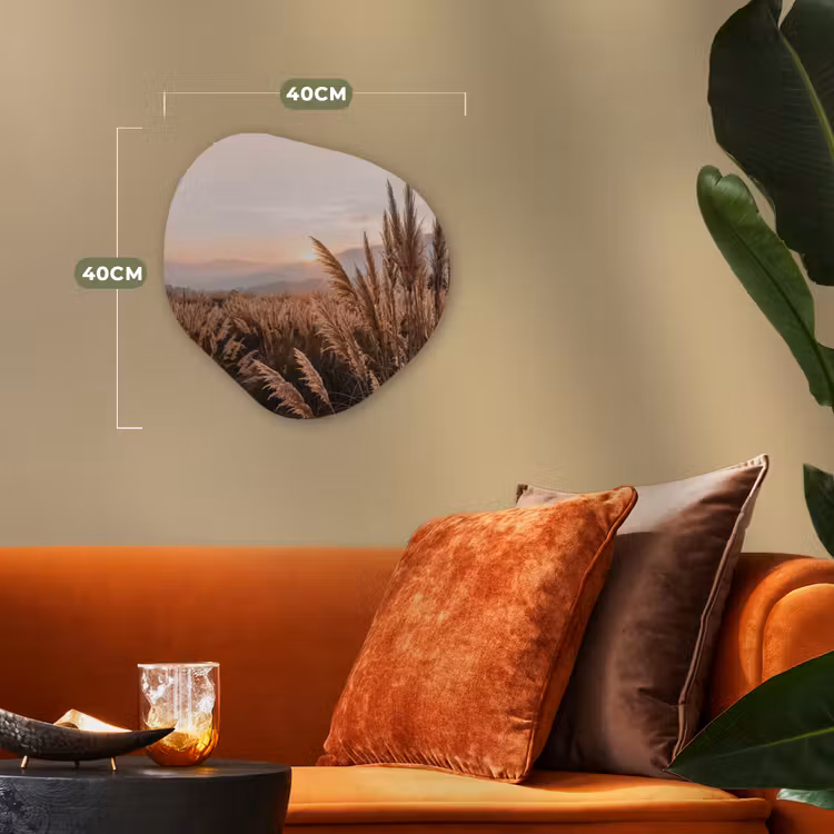 Organisch schilderij - Forex - Gras - Veld - Zon - Natuur — 4