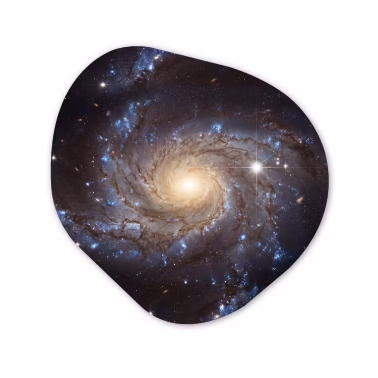 Organisch schilderij - Forex - Kosmos - Sterrenstelsel - Donker — 1