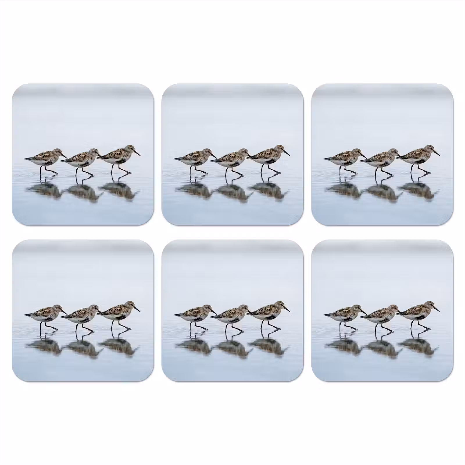 Onderzetter - Vogels - Water - Grijs — 1