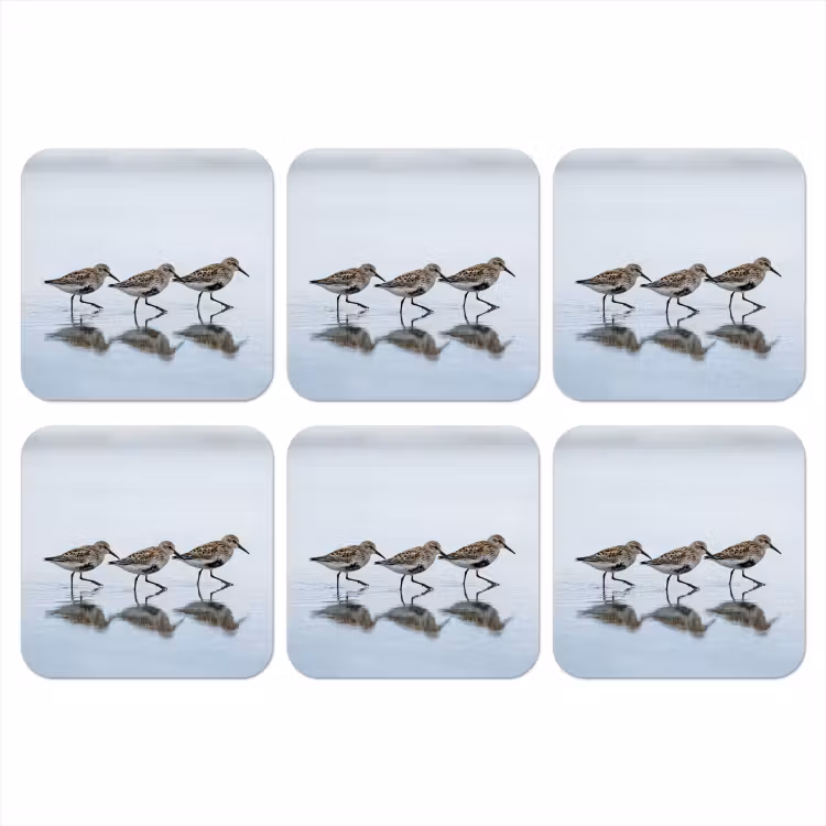 Onderzetter - Vogels - Water - Grijs — 1