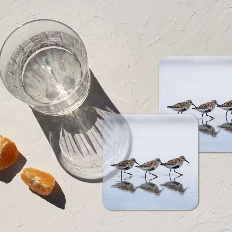 Onderzetter - Vogels - Water - Grijs — 3