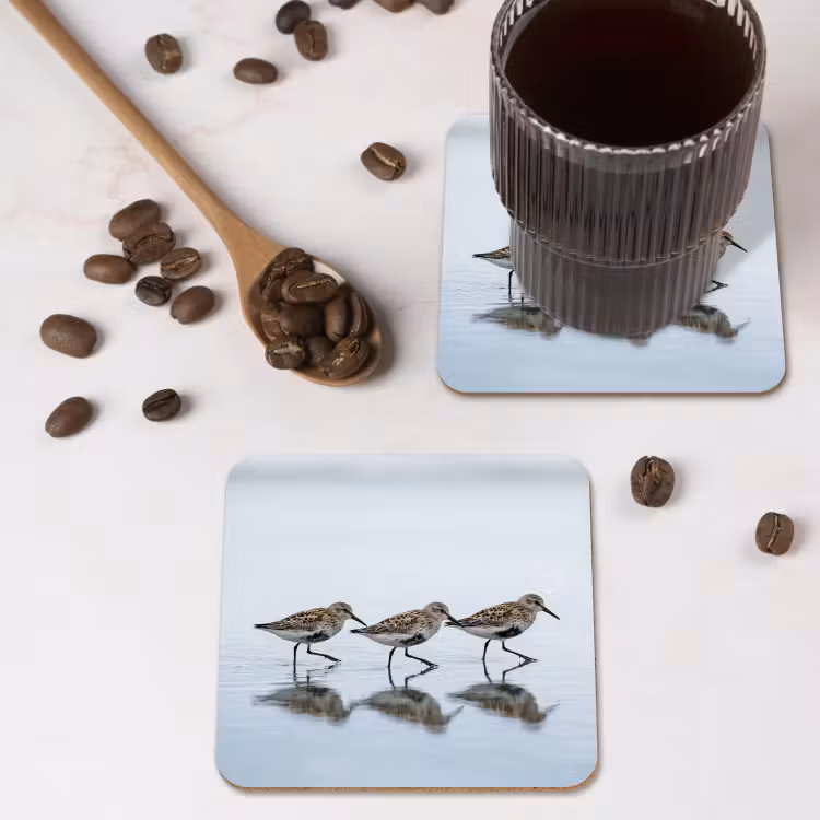 Onderzetter - Vogels - Water - Grijs — 4