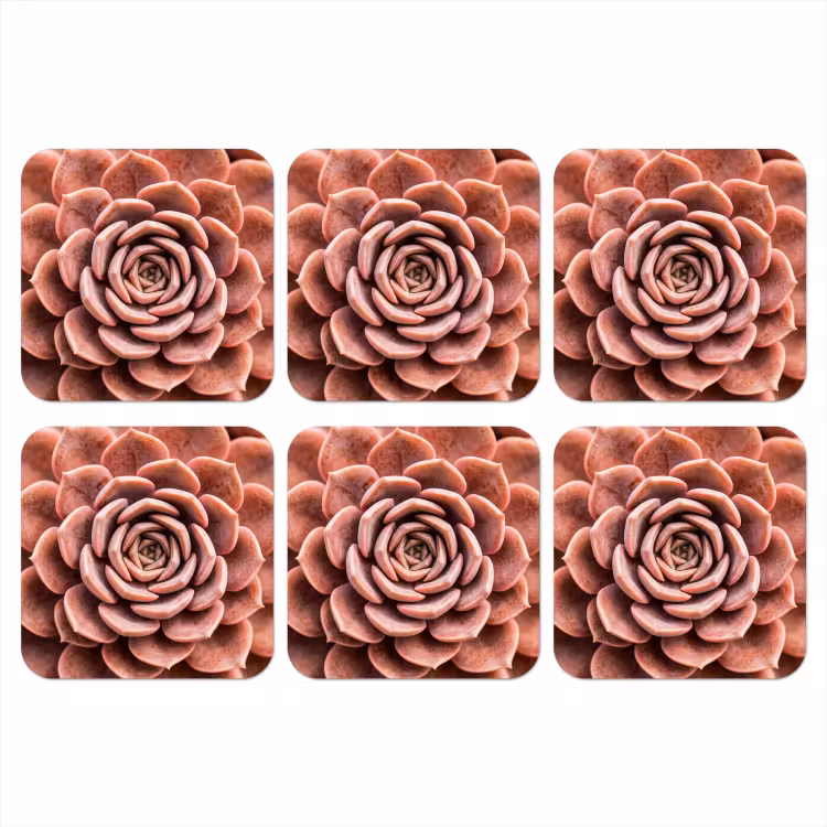 Onderzetter - Vetplant - Organisch - Roze — 1