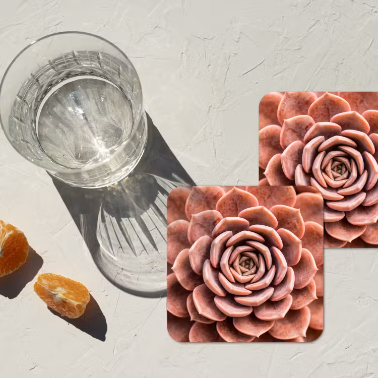 Onderzetter - Vetplant - Organisch - Roze — 3