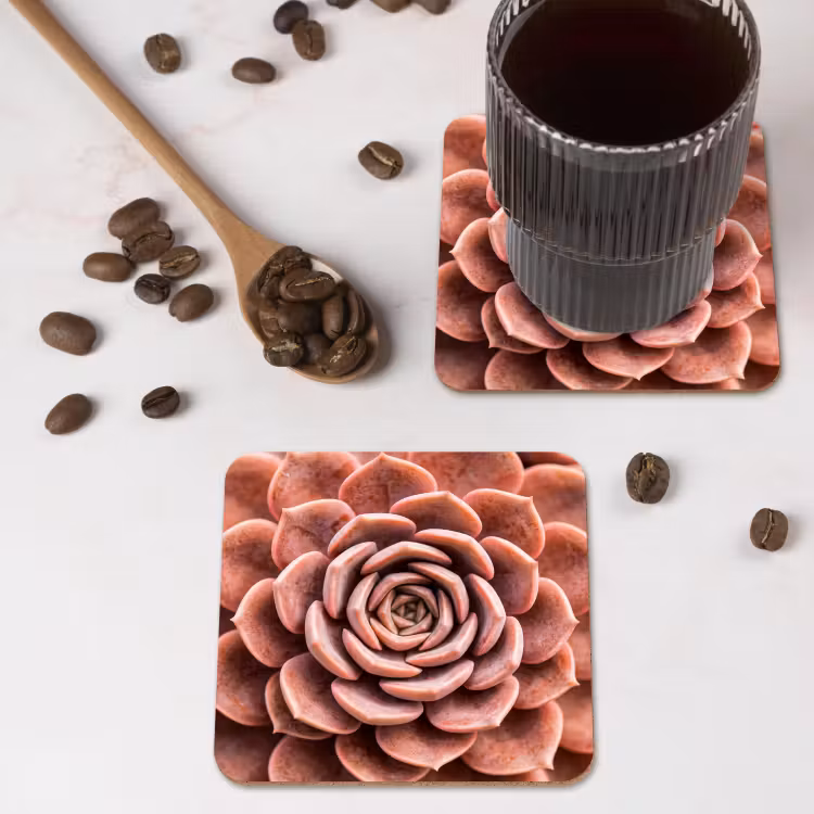 Onderzetter - Vetplant - Organisch - Roze — 4