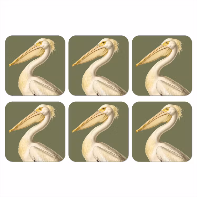 Onderzetter - Pelikaan - Wit - Vogel - Klassiek - Natuur — 1