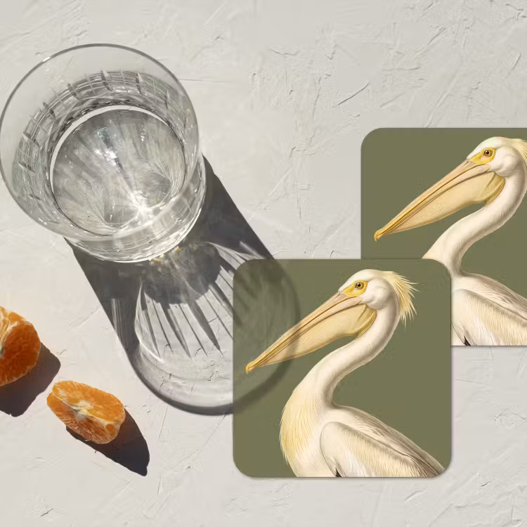 Onderzetter - Pelikaan - Wit - Vogel - Klassiek - Natuur — 3
