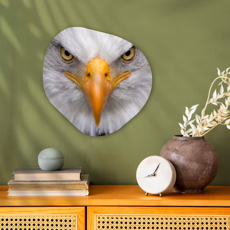 Organisch schilderij - Forex - Amerikaans - Zeearend - Portret - Geel — 2