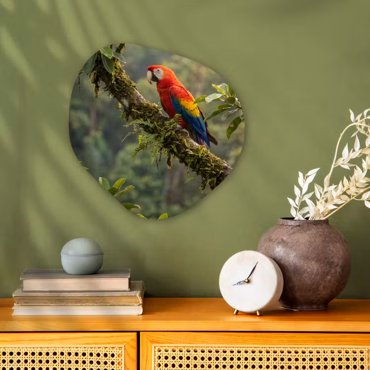 Organisch schilderij - Forex - Ara - Jungle - Rood — 2