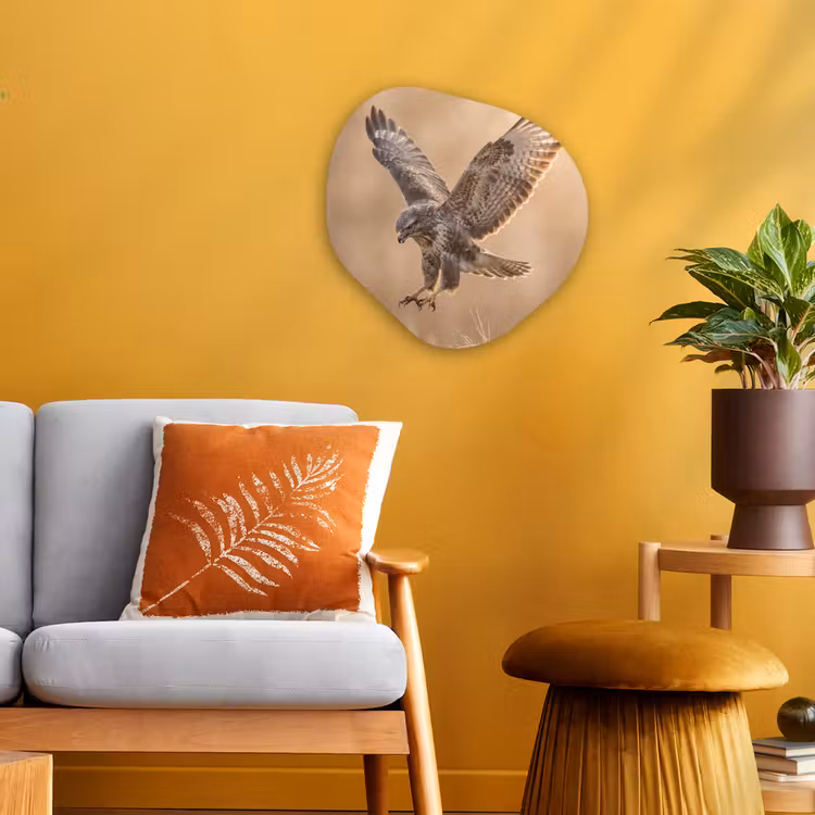 Organisch schilderij - Forex - Buizerd - Roofvogel - Natuur - Bruin — 3