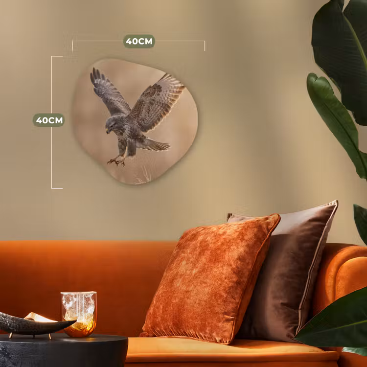 Organisch schilderij - Forex - Buizerd - Roofvogel - Natuur - Bruin — 4
