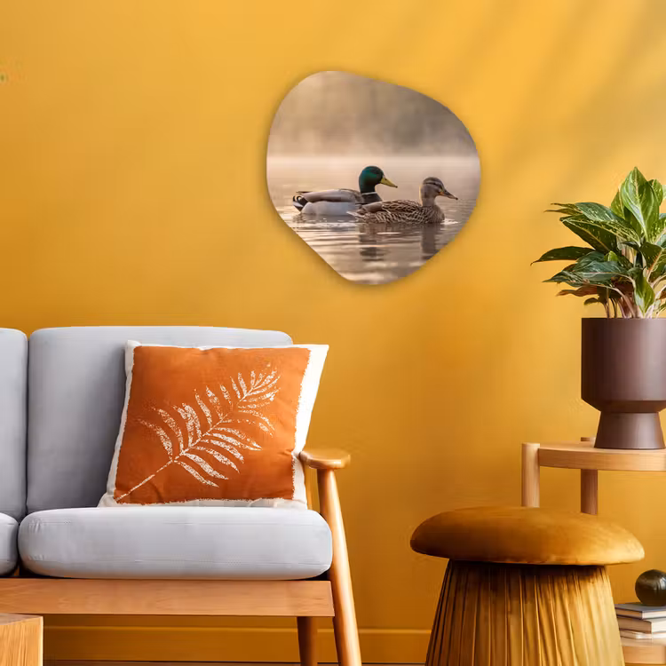 Organisch schilderij - Forex - Eenden - Water - Mist - Natuur — 3
