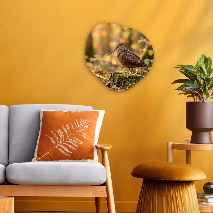 Organisch schilderij - Forex - Houtsnip - Bos - Bladeren - Herfst - Gecamoufleerd — 3