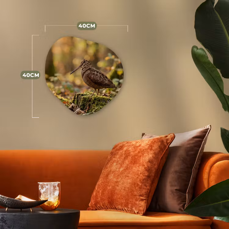 Organisch schilderij - Forex - Houtsnip - Bos - Bladeren - Herfst - Gecamoufleerd — 4