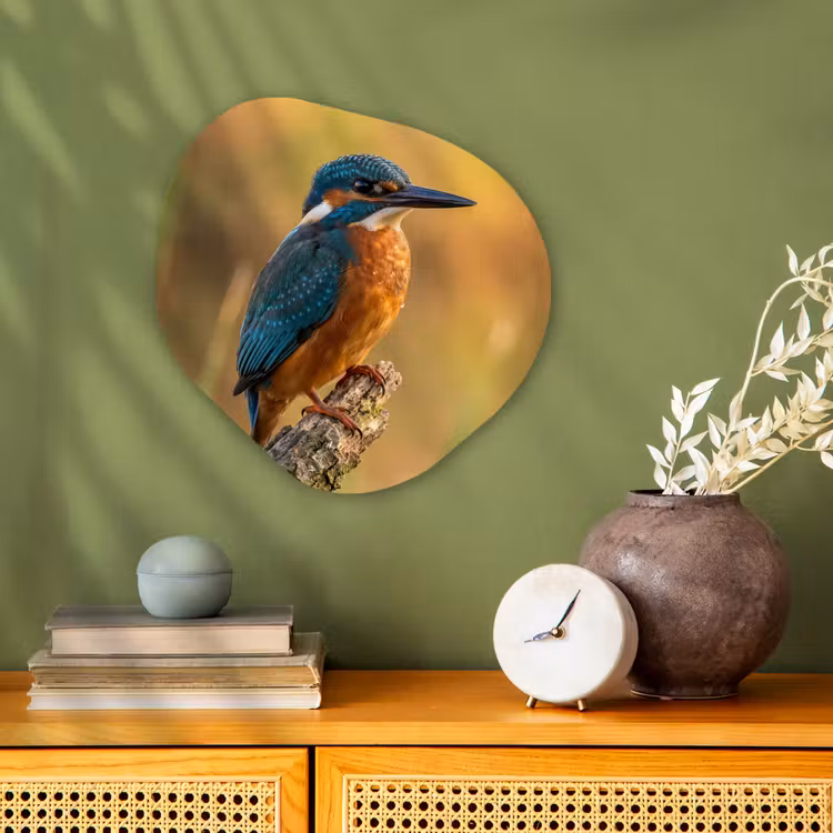 Organisch schilderij - Forex - IJsvogel - Tak - Water - Kleurrijk - Levendig — 2