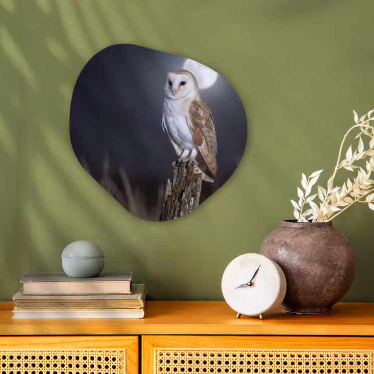 Organisch schilderij - Forex - Kerkuil - Maan - Nacht — 2