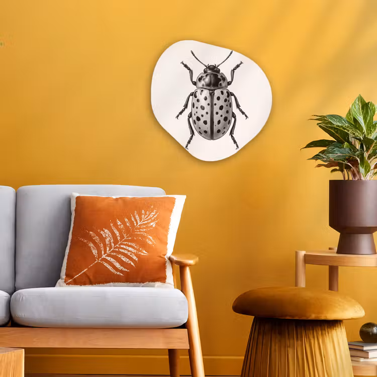 Organisch schilderij - Forex - Kever - Insect - Vintage — 3