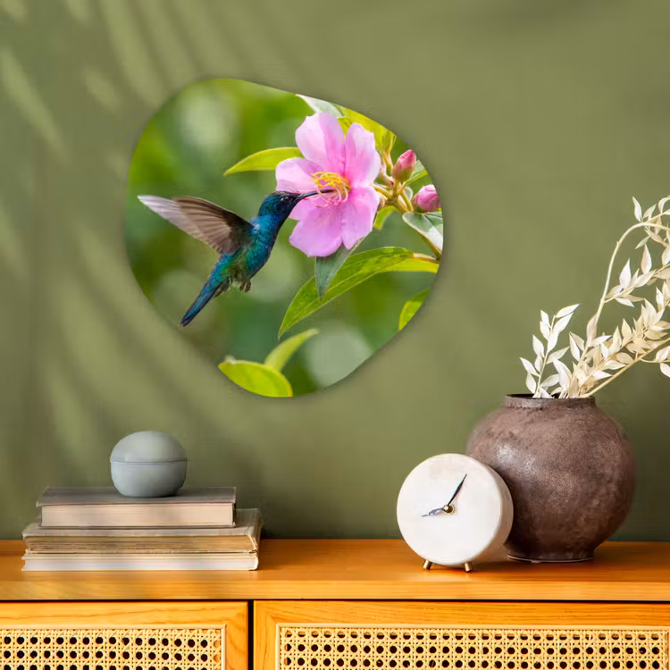 Organisch schilderij - Forex - Kolibrie - Bloem - Natuur - Groen — 2