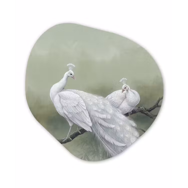 Organisch schilderij - Forex - Pauwen - Wit - Natuur - Groen — 1
