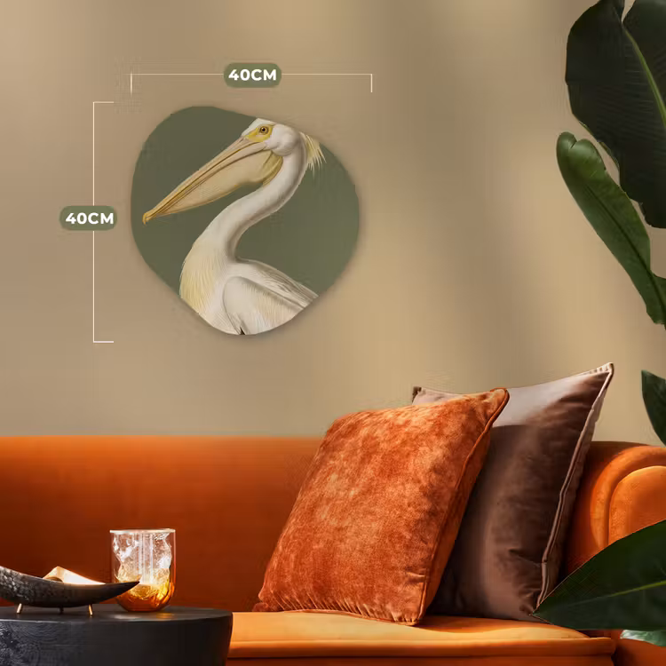 Organisch schilderij - Forex - Pelikaan - Wit - Vogel - Klassiek - Natuur — 4