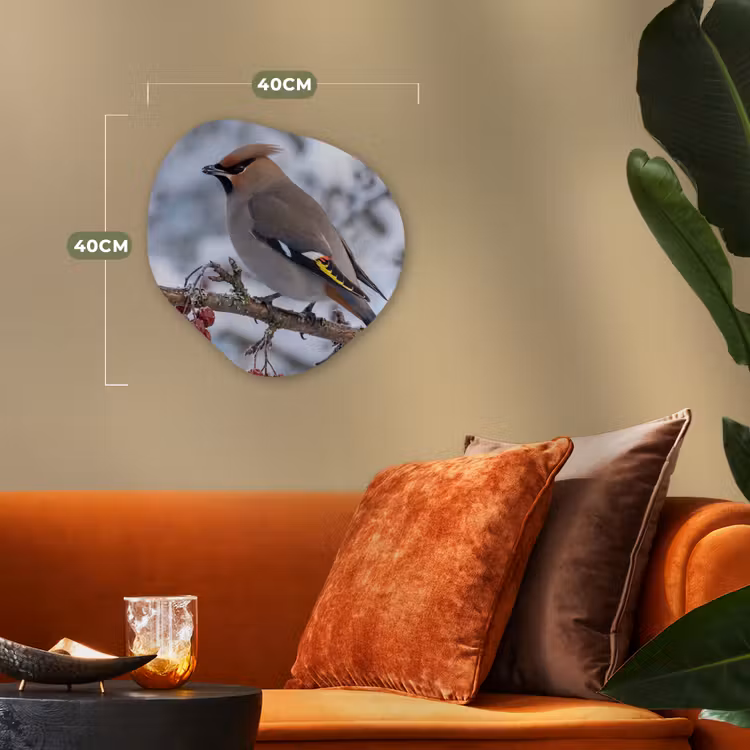 Organisch schilderij - Forex - Pestvogel - Bessen - Winter - Natuur — 4