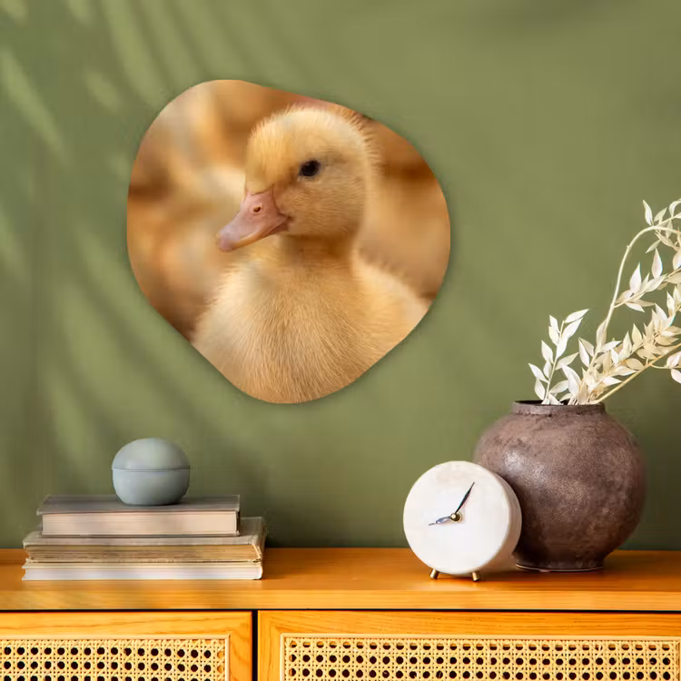 Organisch schilderij - Forex - Pijltje - Eend - Natuur - Geel — 2
