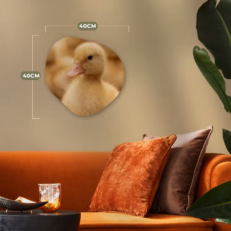 Organisch schilderij - Forex - Pijltje - Eend - Natuur - Geel — 4
