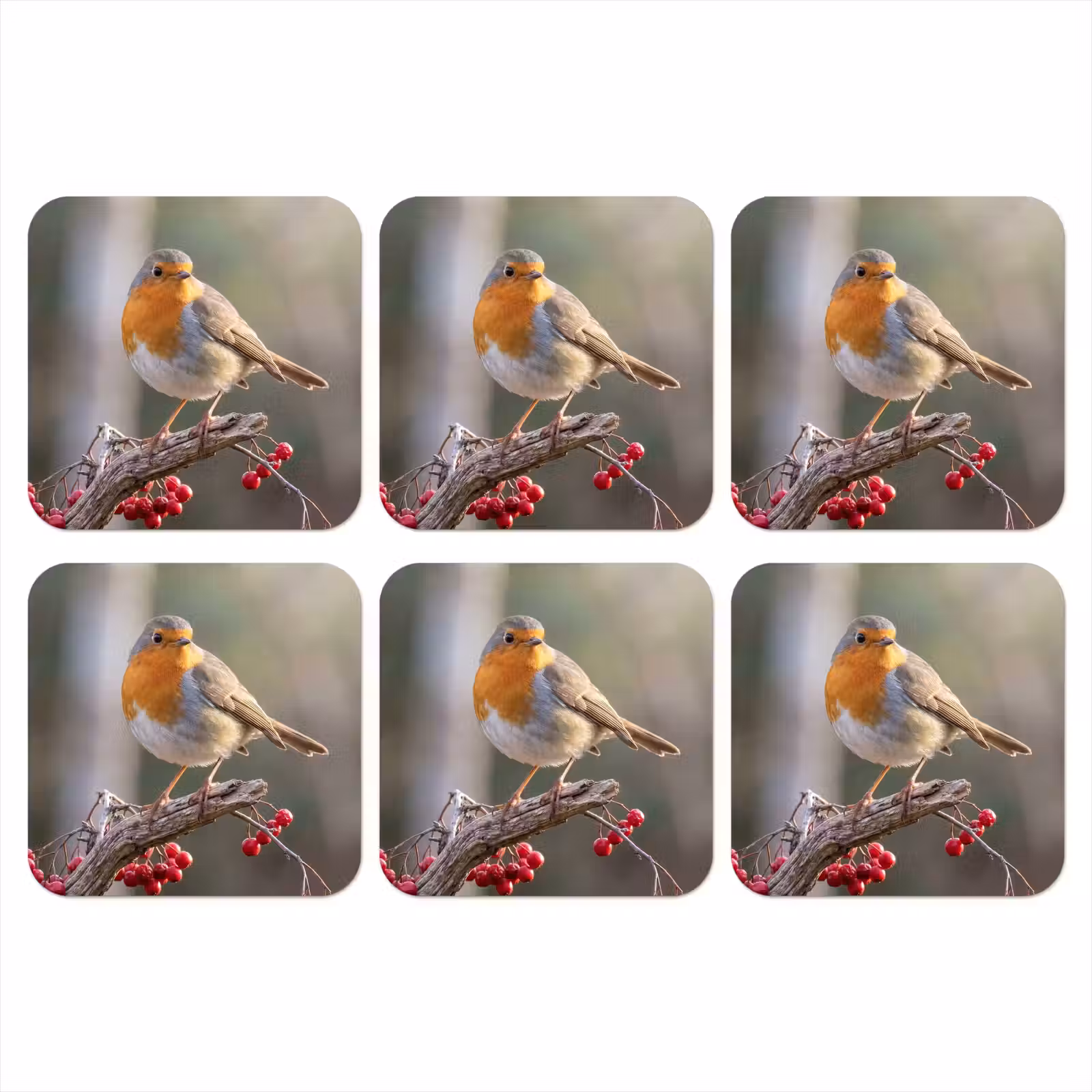 Onderzetter - Roodborst - Tak - Bessen - Natuur — 1