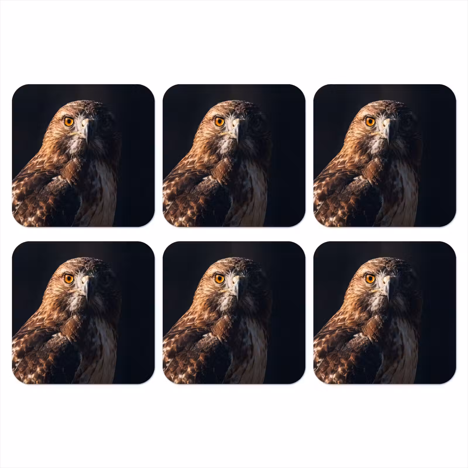 Onderzetter - Roofvogel - Buizerd - Bruin — 1
