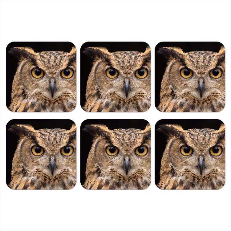 Onderzetter - Oehoe - Uil - Portret - Bruin — 1