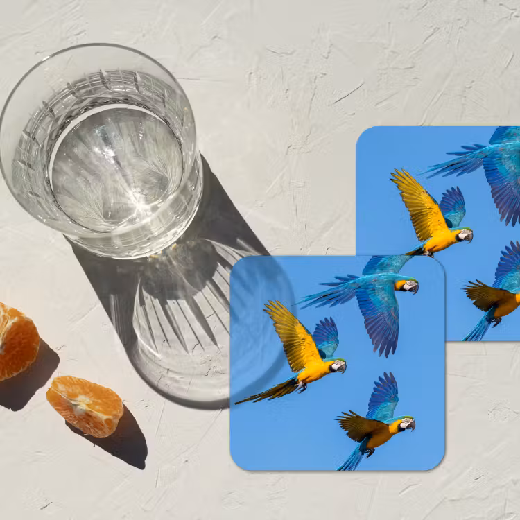 Onderzetter - Papagaai - Vliegen - Blauw - Geel — 3