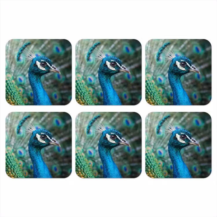 Onderzetter - Pauw - Veren - Blauw — 1