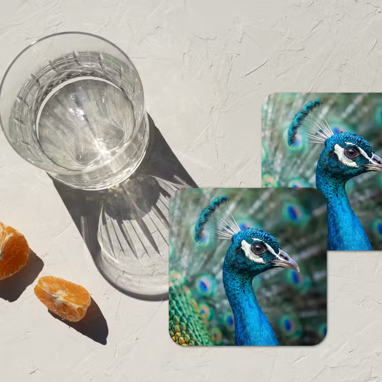 Onderzetter - Pauw - Veren - Blauw — 3