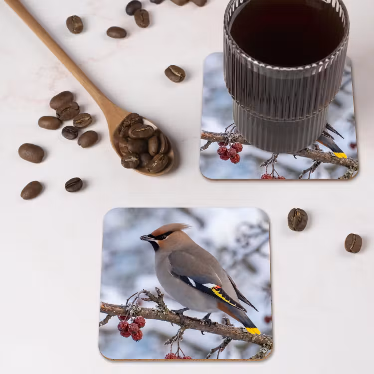 Onderzetter - Pestvogel - Bessen - Winter - Natuur — 4