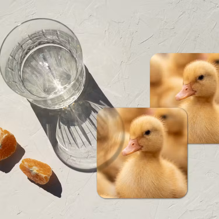 Onderzetter - Pijltje - Eend - Natuur - Geel — 3