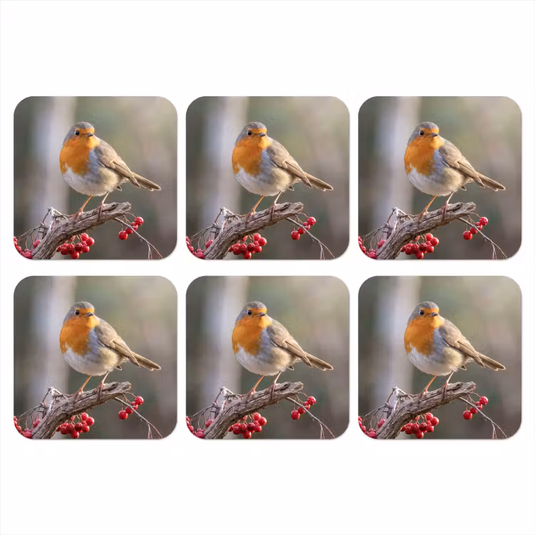 Onderzetter - Roodborst - Tak - Bessen - Natuur — 1