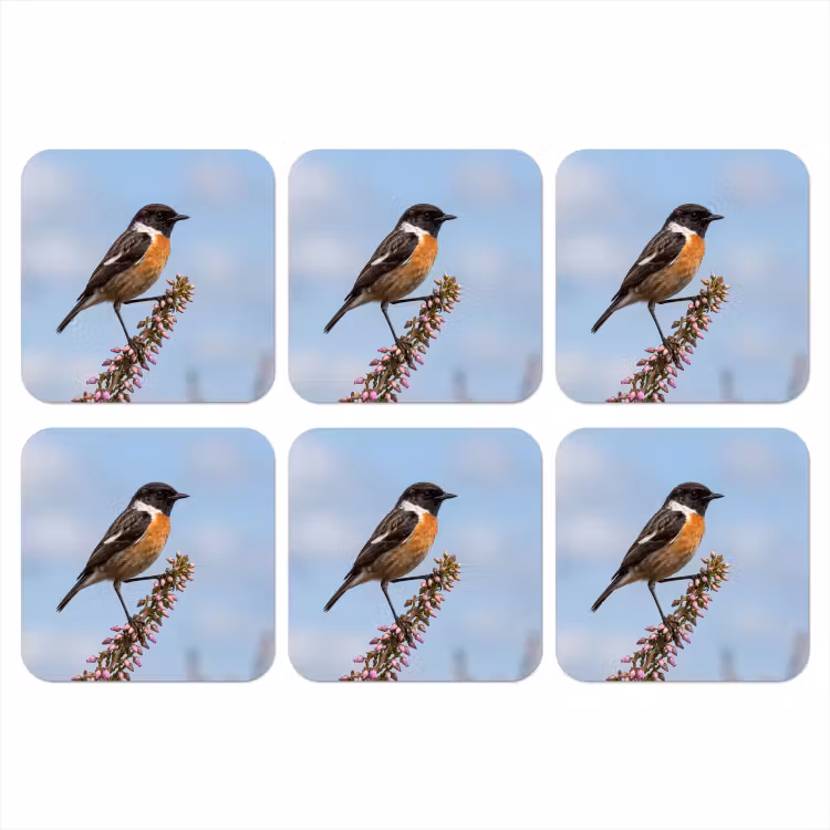 Onderzetter - Roodborsttapuit - Heide - Paars - Natuur - Sfeervol — 1