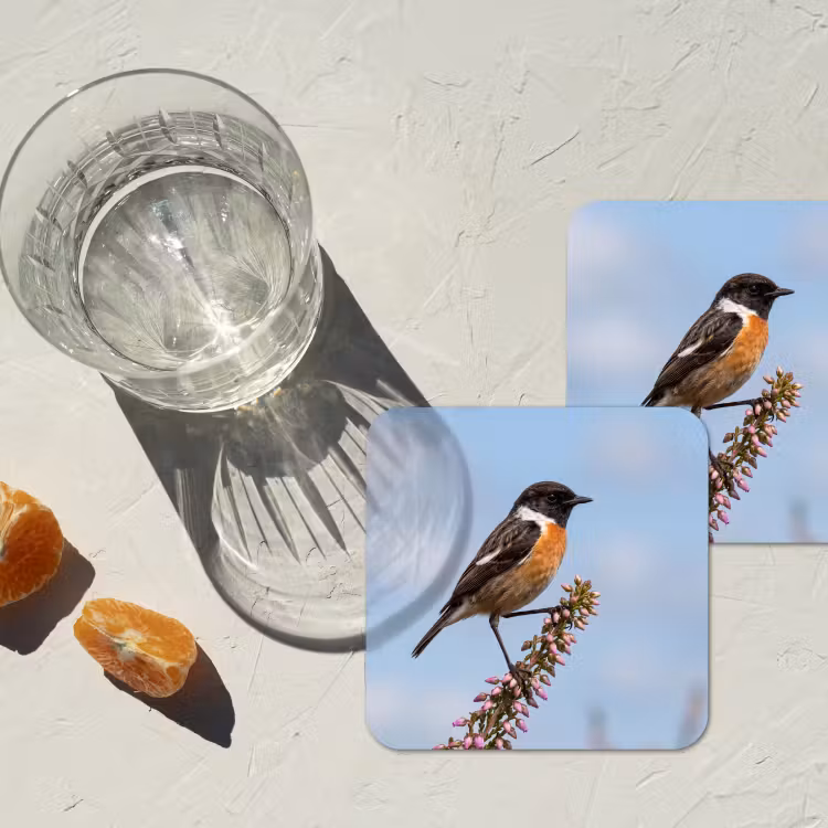 Onderzetter - Roodborsttapuit - Heide - Paars - Natuur - Sfeervol — 3
