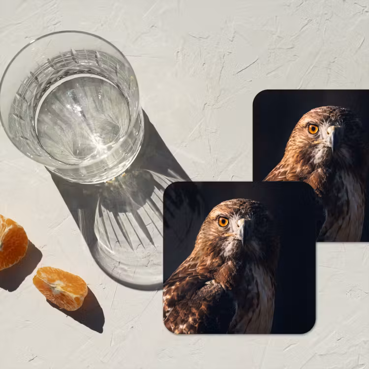 Onderzetter - Roofvogel - Buizerd - Bruin — 3