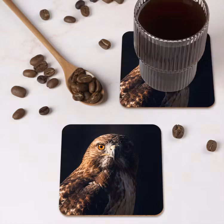 Onderzetter - Roofvogel - Buizerd - Bruin — 4