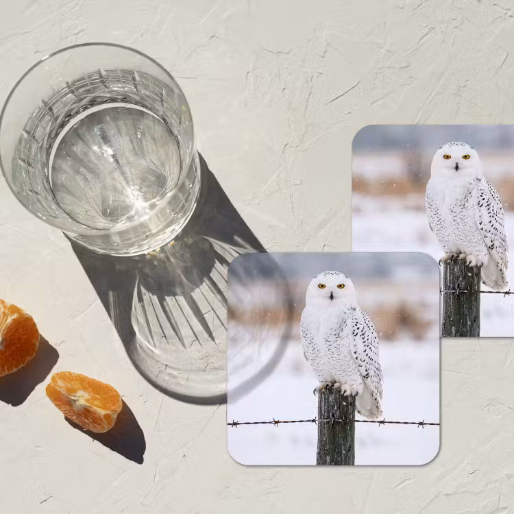 Onderzetter - Sneeuwuil - Hek - Sneeuw - Wit — 3