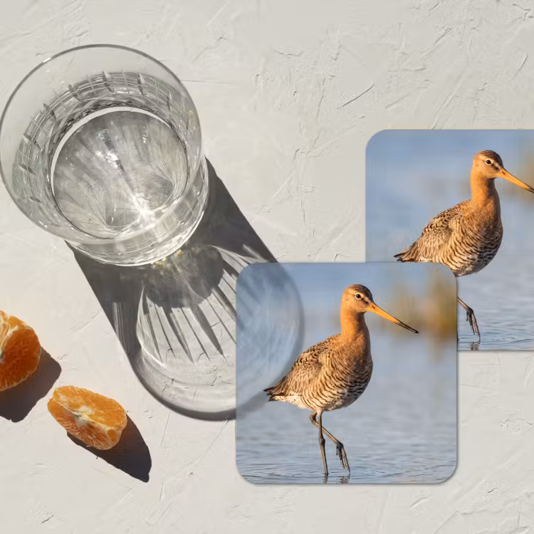 Onderzetter - Vogel - Steltloper - Water - Natuur — 3