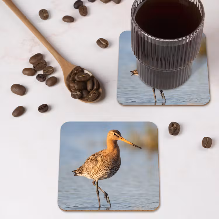 Onderzetter - Vogel - Steltloper - Water - Natuur — 4