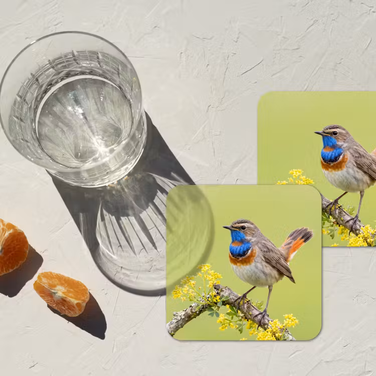 Onderzetter - Vogel - Tak - Natuur - Kleurrijk — 3