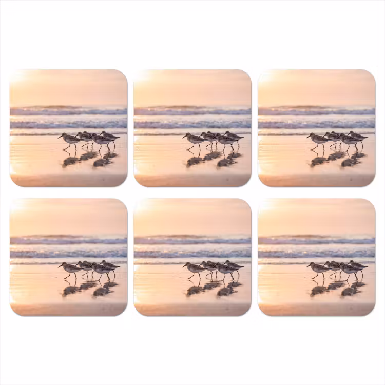 Onderzetter​ - Zee - Vogels - Strand — 1