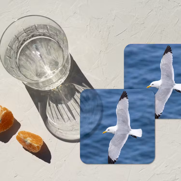 Onderzetter - Zeemeeuw - Oceaan - Blauw — 3