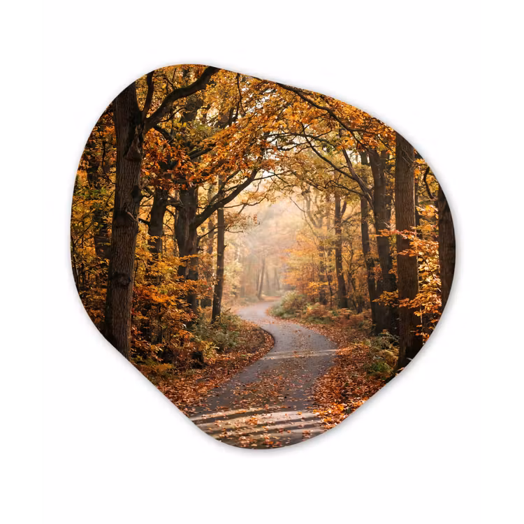 Organisch schilderij - Forex - Bospad - Herfstbos - Bladeren - Oranje - Nostalgisch — 1