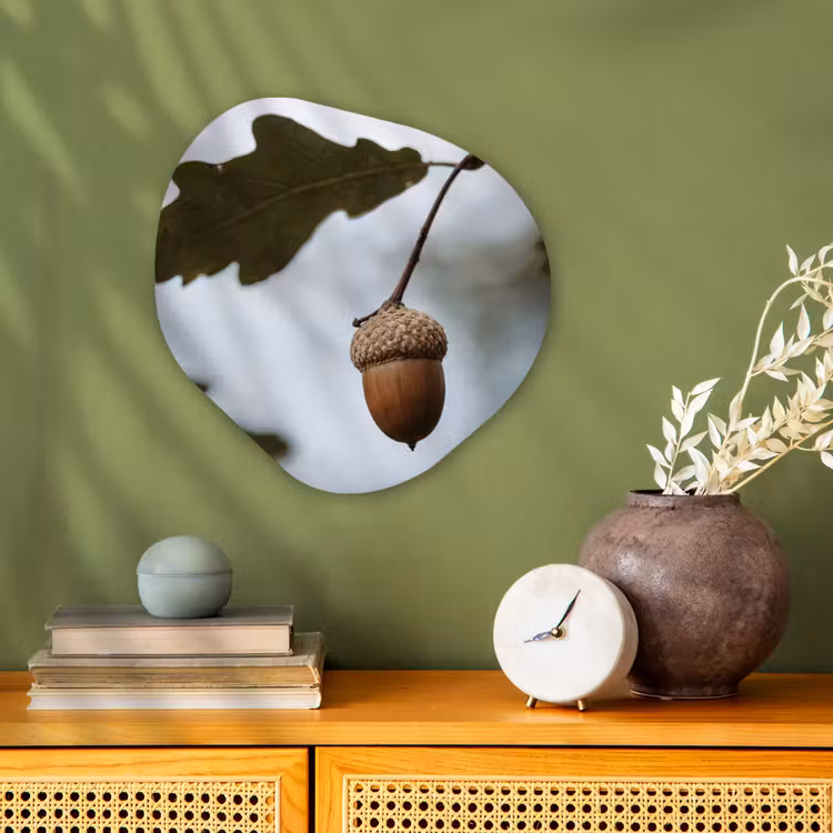 Organisch schilderij - Forex - Eikel - Eikenblad - Bos - Herfst - Natuur — 2
